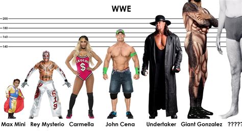 average wwe height